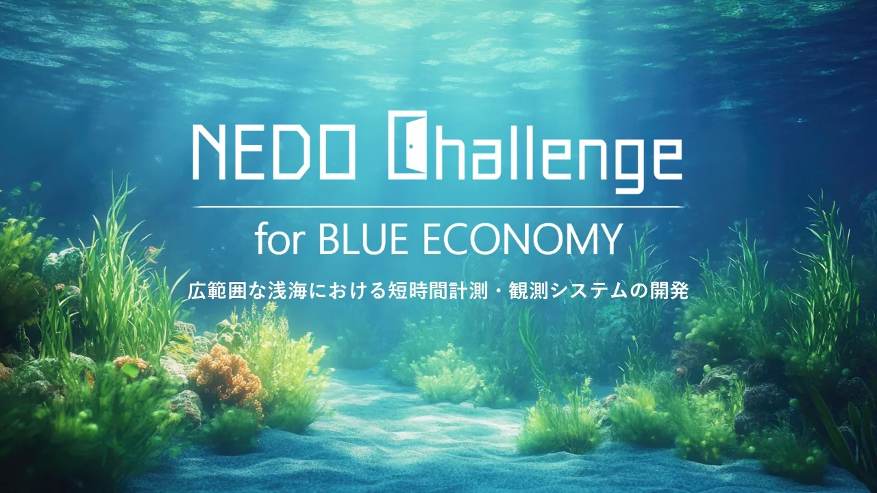 国立研究開発法人新エネルギー・産業技術総合開発機構 (NEDO)
